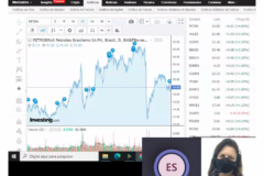 Darwin Invest - 3ª fase