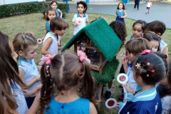 Infantil IV e a lupa (3)