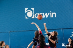 basket-vv-16