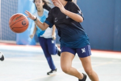 basquete-vv-240