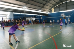 volei-vv-209