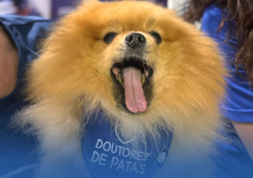 Páginas que ganham vida: alunos do 4º ano receberão a visita do Projeto Doutores de Patas